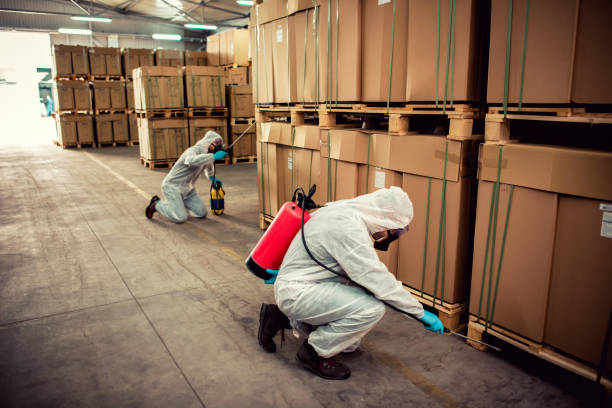 Best Wildlife Control Services  in Millville, DE