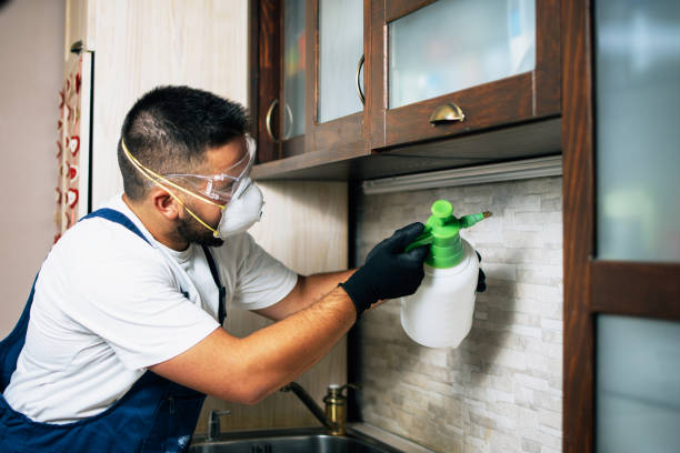 Best Pest Control Near Me  in Millville, DE
