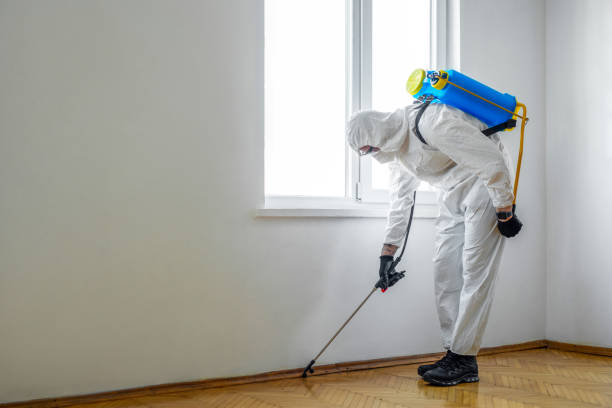 Best Flea Control Services  in Millville, DE