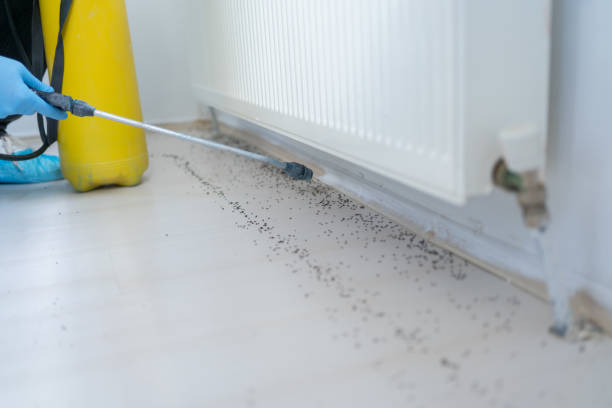 Best Best Pest Control Companies  in Millville, DE