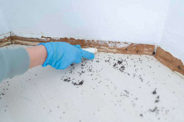 Best Exterminator Services  in Millville, DE