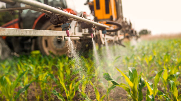 Best Mosquito Control Services  in Millville, DE
