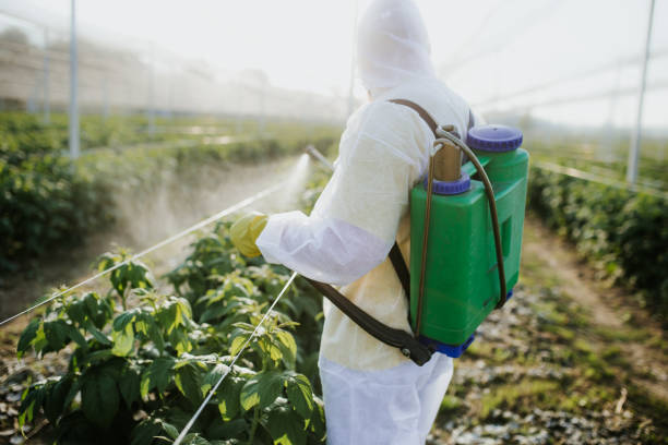 Best Wasp Removal Services  in Millville, DE